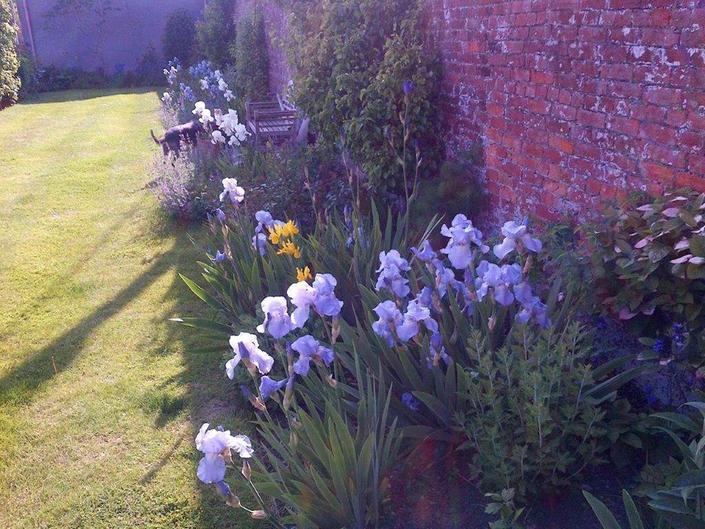 Coxley House Bed & Breakfast Wells Exterior photo